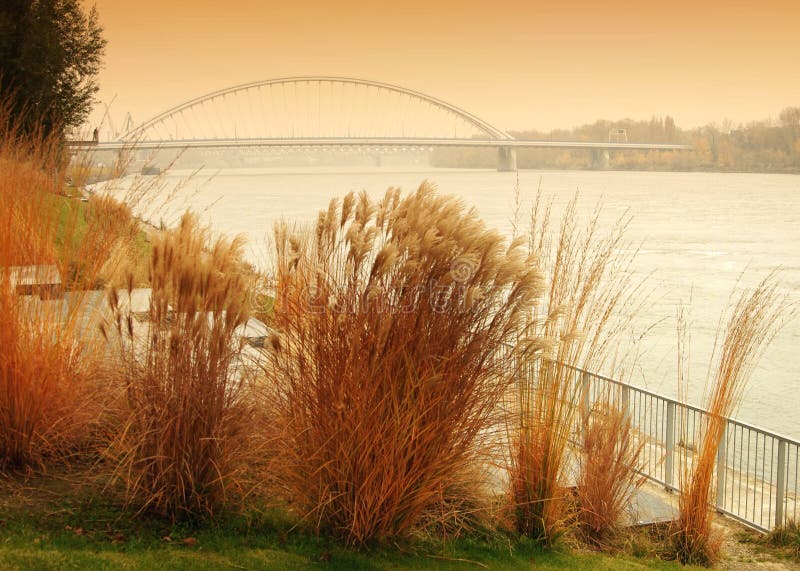 Apollo bridge in Bratislava town