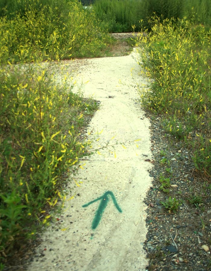 A green arrow painted on a sidewalk leading through green and yellow weeds. A green arrow painted on a sidewalk leading through green and yellow weeds