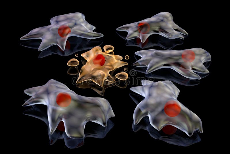 Apoptosis illustration libre de droits Apoptosis illustration libre de droits