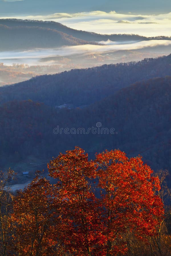 Appalachian mountains at sunrise and tree foliage