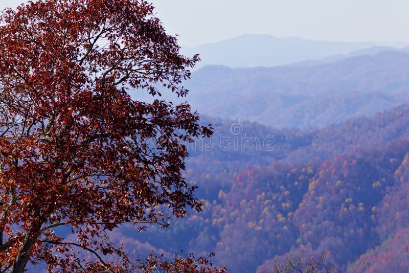 Appalachian mountains at sunset and autumn foliage