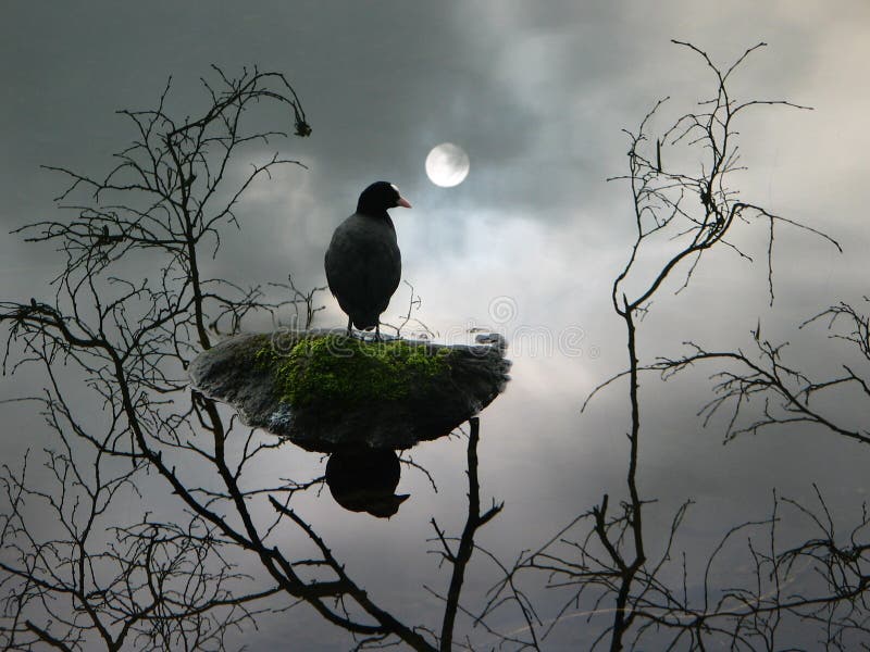 Apparition