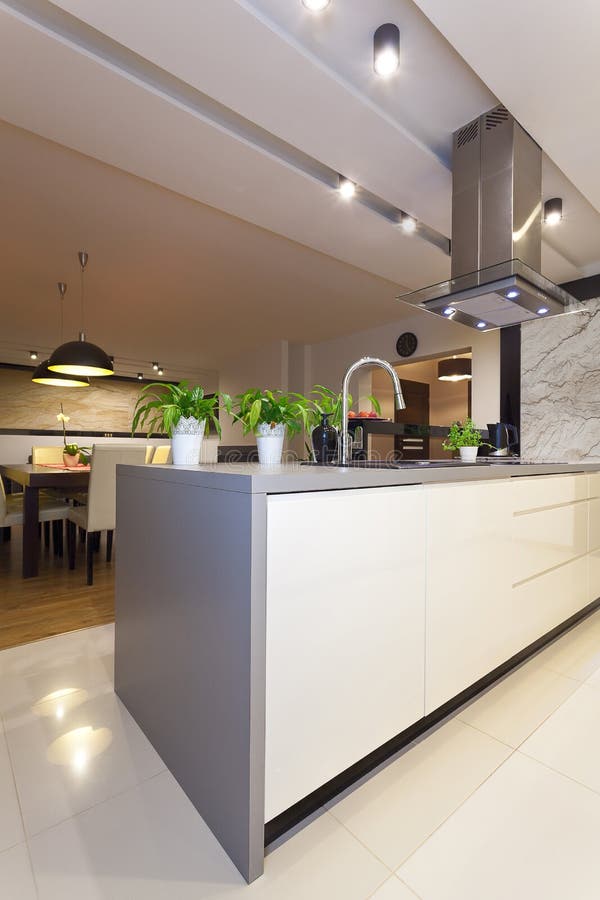 Appartement urbain - cuisine moderne, verticale photographie stock Appartement urbain - cuisine moderne, verticale photographie stock