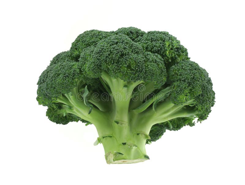 Appetizing broccoli on pure white background