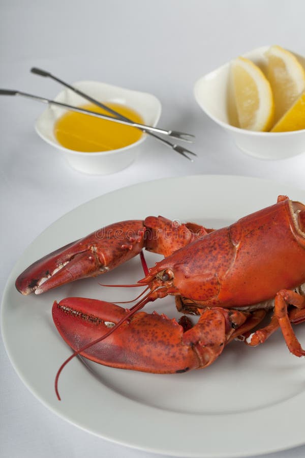 Lobster dish stock photo. Image of romance, lobster, dish 18003260