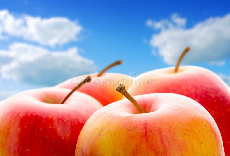 Apple stock photo. Image of crispy, natural, organic 35638694