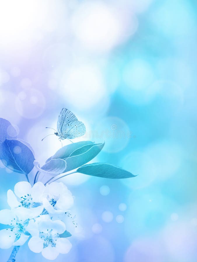 Apple blossom and butterfly on the blurred blue vertical background. Spring flowers. Apple blossom and butterfly on the blurred blue vertical background. Spring flowers