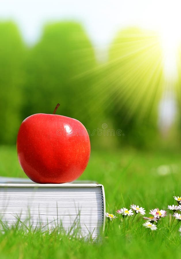Apple on book in grass. stock photo. Image of literature 70436800