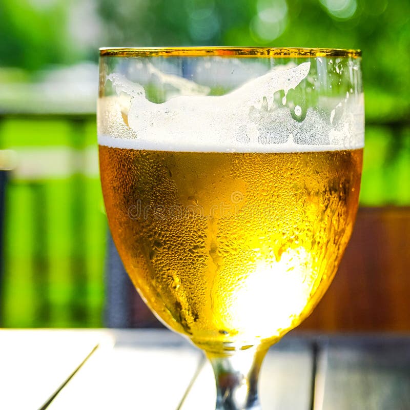 Apple Cider. Alcoholic Beverage in a Misted Glass Stock Image Image