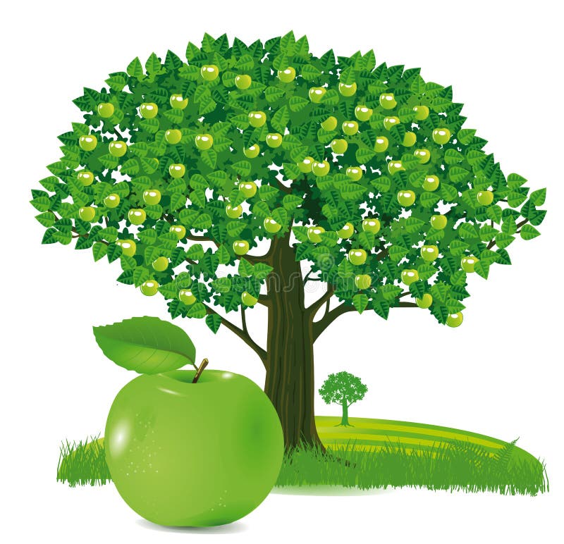 árvore De Maçã Loupoli Simplificou árvore Gráfica No Verão Ilustração do  Vetor - Ilustração de madeira, verde: 211370476