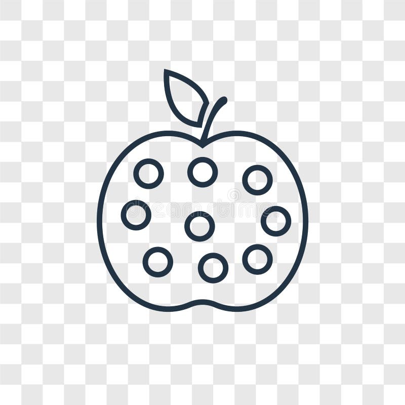 Apple Concept Vector Linear Icon Isolated On Transparent Background Apple Concept Transparency Logo In Outline Style Stock Vector Illustration Of Vegetarian Fresh Apple Concept Vector Linear Icon Isolated On Transparent Background Apple Concept Transparency Logo In Outline Style Stock Vector Illustration Of Vegetarian Fresh