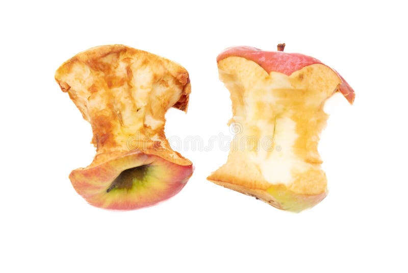 Apple Core Isolated on White Background. Stock Photo Image of apple