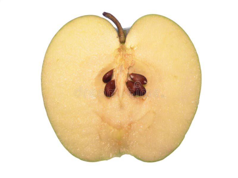 Apple cut in Half stock photo. Image of dessert, fruits 195790