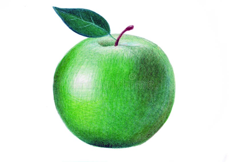 Featured image of post Green Apple Drawing Realistic