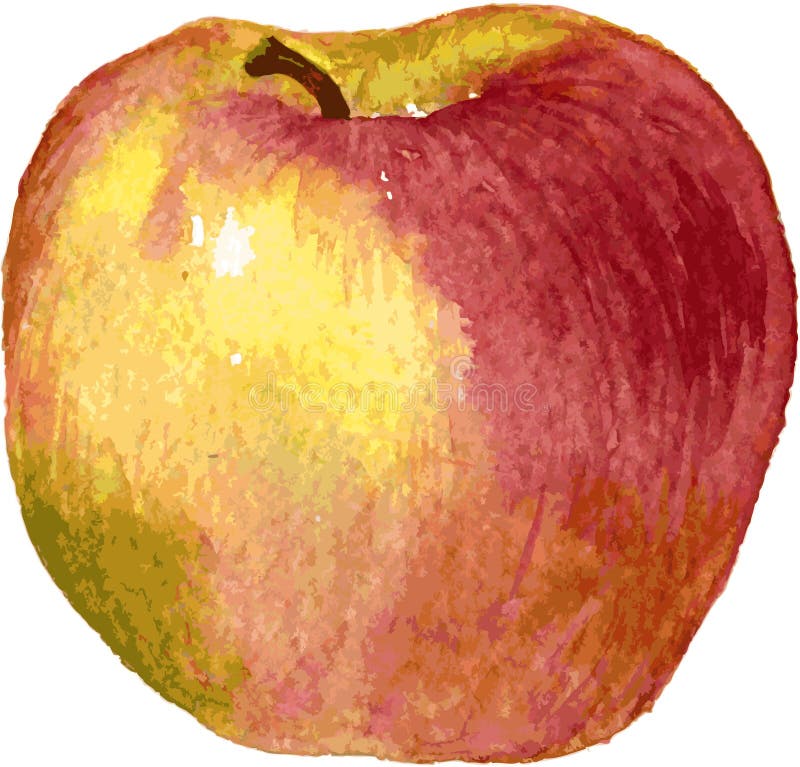 Vector Sketch Red Apple Stock Illustrations – 3,644 Vector Sketch