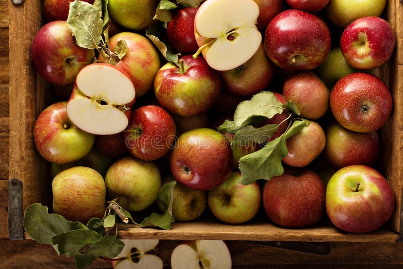 Apple ernten in einer hölzernen Kiste stockbilder Apple ernten in einer hölzernen Kiste stockbilder
