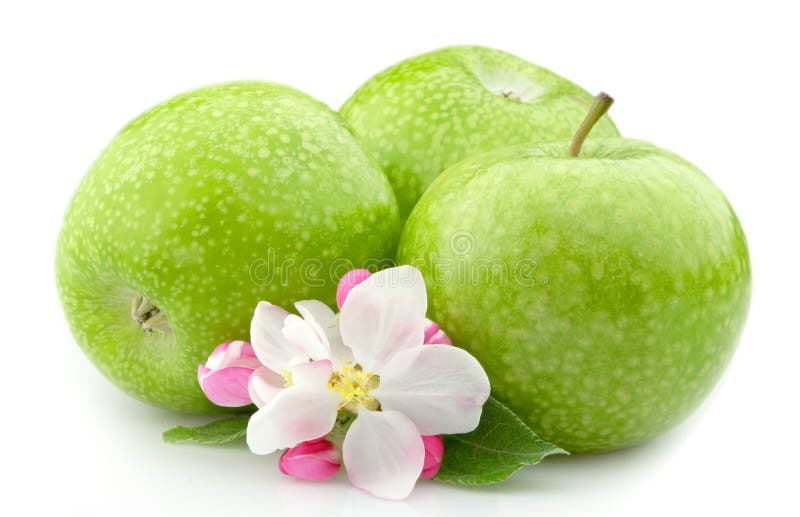 Apple with flowers stock image. Image of snack, apples 20214545