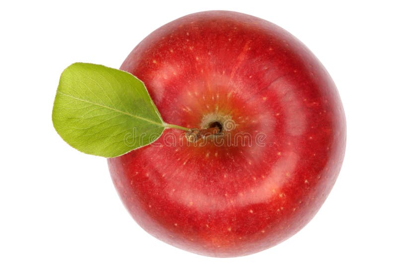 Apple fruit red top view isolated on a white background. Apple fruit red top view isolated on a white background