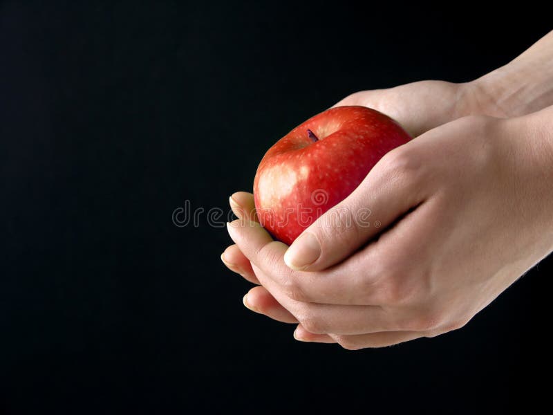 Apple in hands stock images