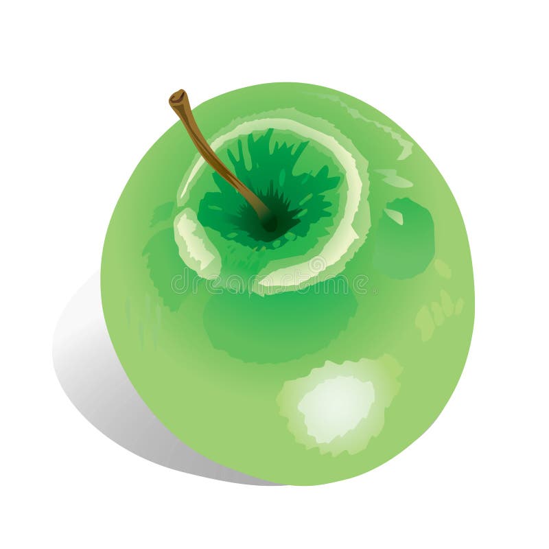 Apple (illustration)