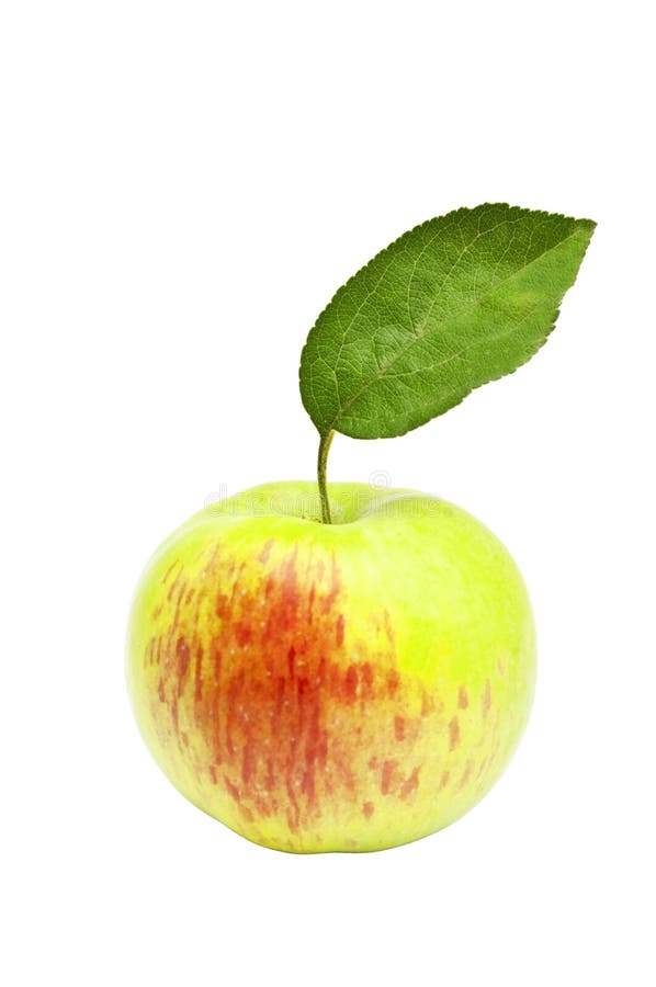 Apple isolated