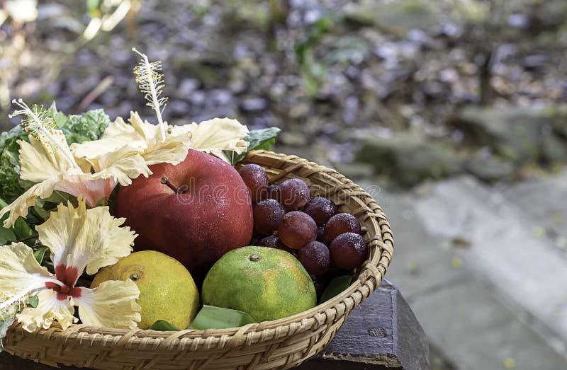 Apple, orange et raisin dans les paniers en bambou d'armure avec les arbres troubles de fond floral de d?corations photo stock Apple, orange et raisin dans les paniers en bambou d'armure avec les arbres troubles de fond floral de d?corations photo stock