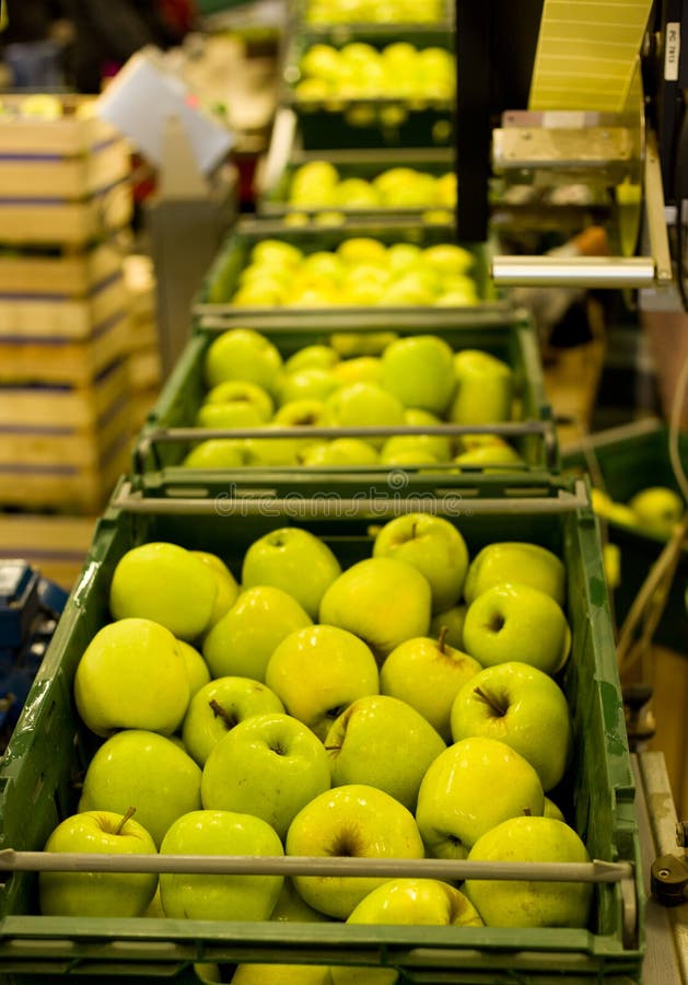 Apple packaging