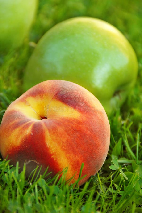 Apple and peach stock photo. Image of nature, ripe, autumn 11471154