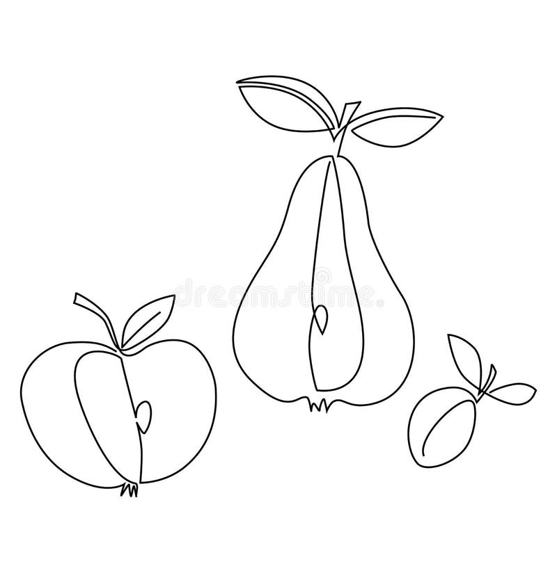 Apple and Pear Cut, Plum with Leaves. Sign. Continuous Line Drawing