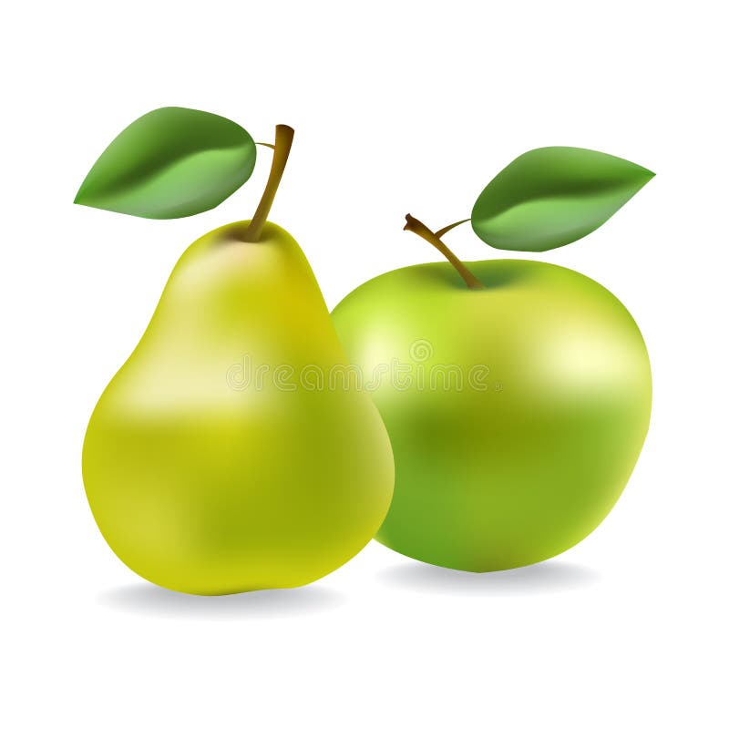 Apple and Pear. Vector Illustration Stock Vector Illustration of