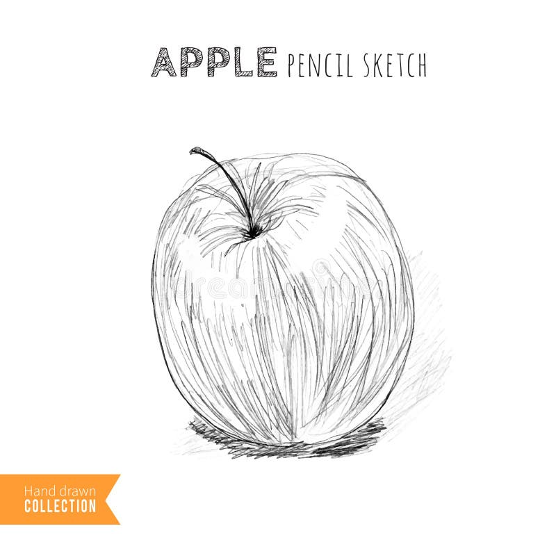 Apple Pencil Icon. Linear Vector Illustration from Apple Devices 