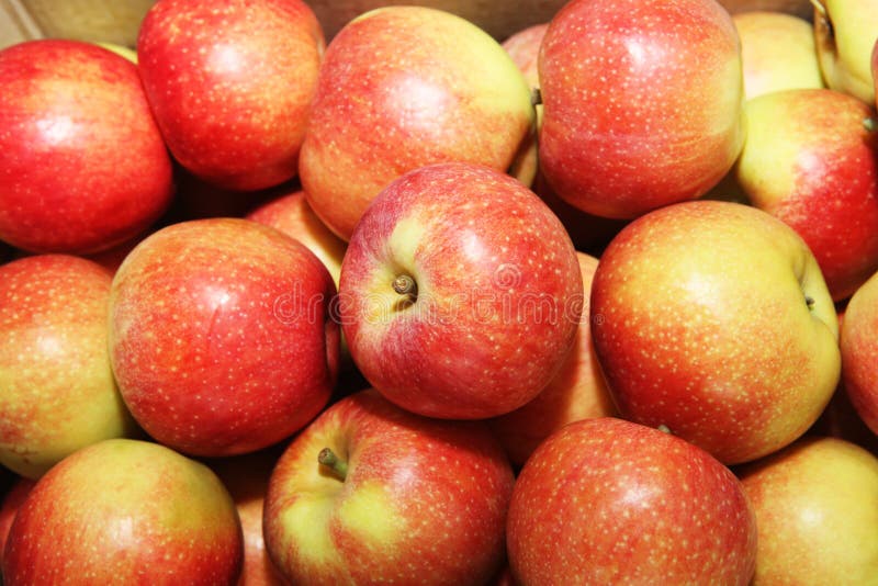 Apple imagem de stock royalty free