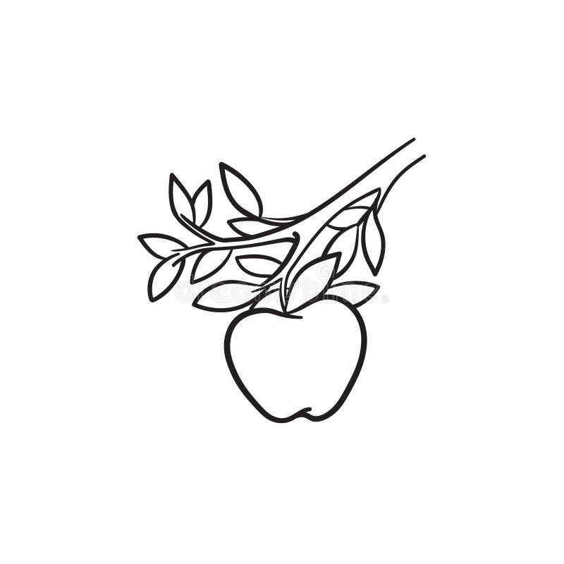 Apple raccoglie l'icona disegnata a mano di schizzo illustrazione vettoriale Apple raccoglie l'icona disegnata a mano di schizzo illustrazione vettoriale