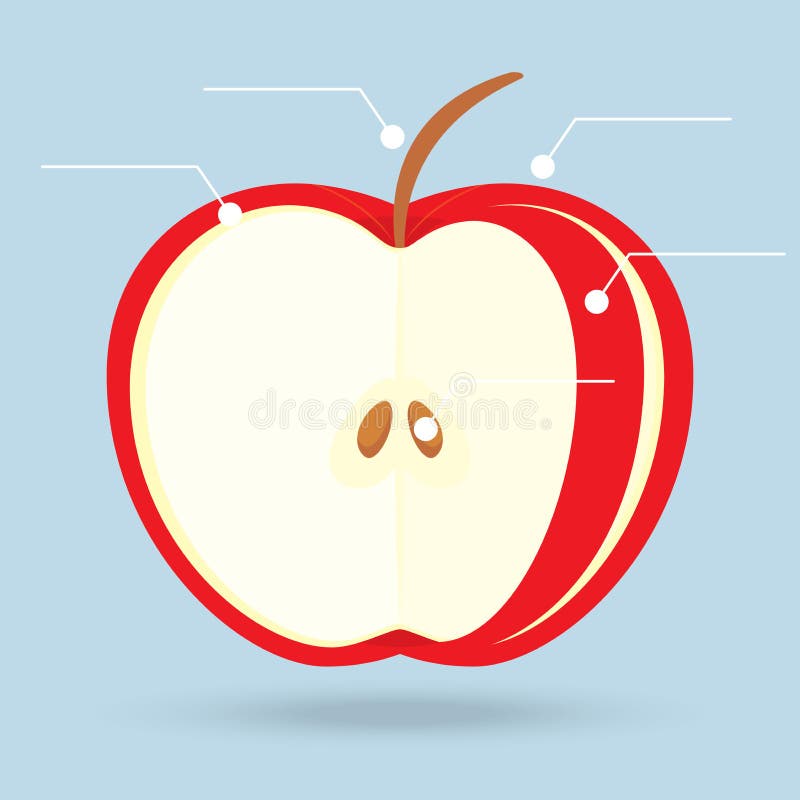 Apple schneidet Strukturdiagramm auf Hintergrund stock abbildung