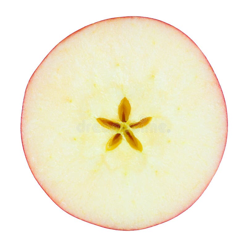 Apple slice stock image. Image of apple, circle, isolated - 29466955