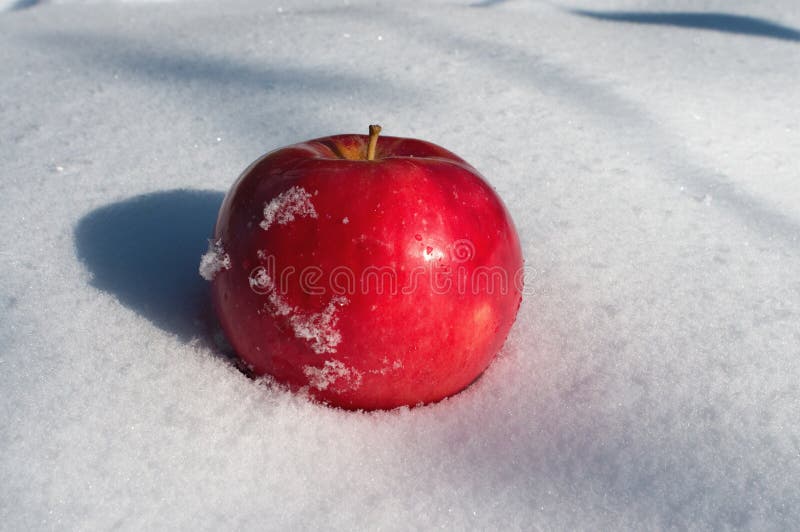 Apple on snow