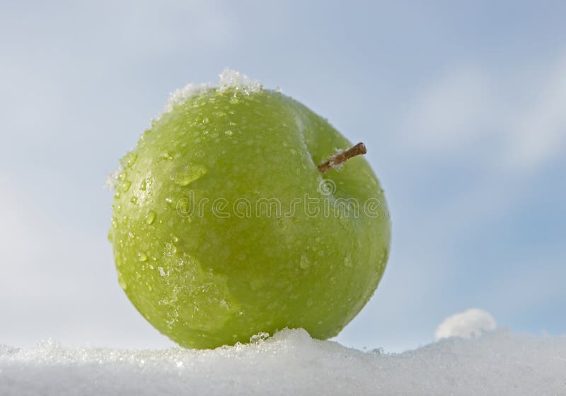 Apple on snow stock image. Image of refreshing, freshness - 4315073