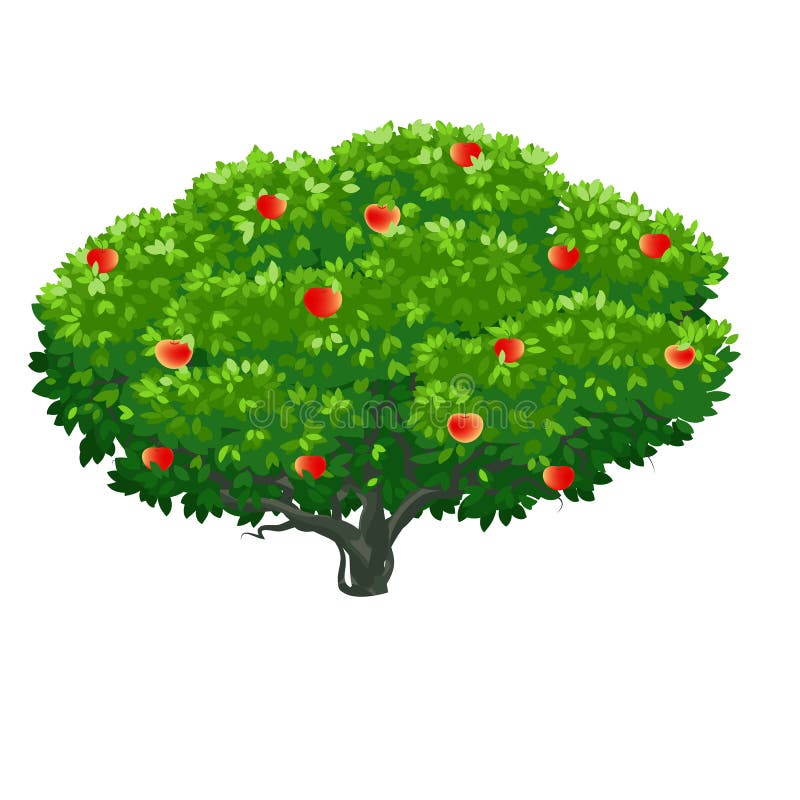 Apple Tree .Tree Cartoon with Apples, Vector Stock Vector