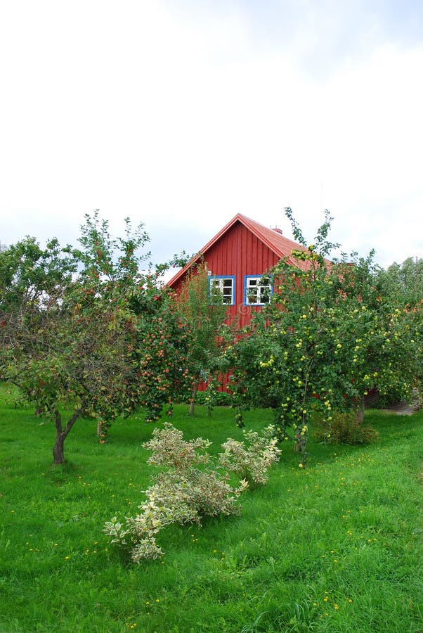 Apple tree garden