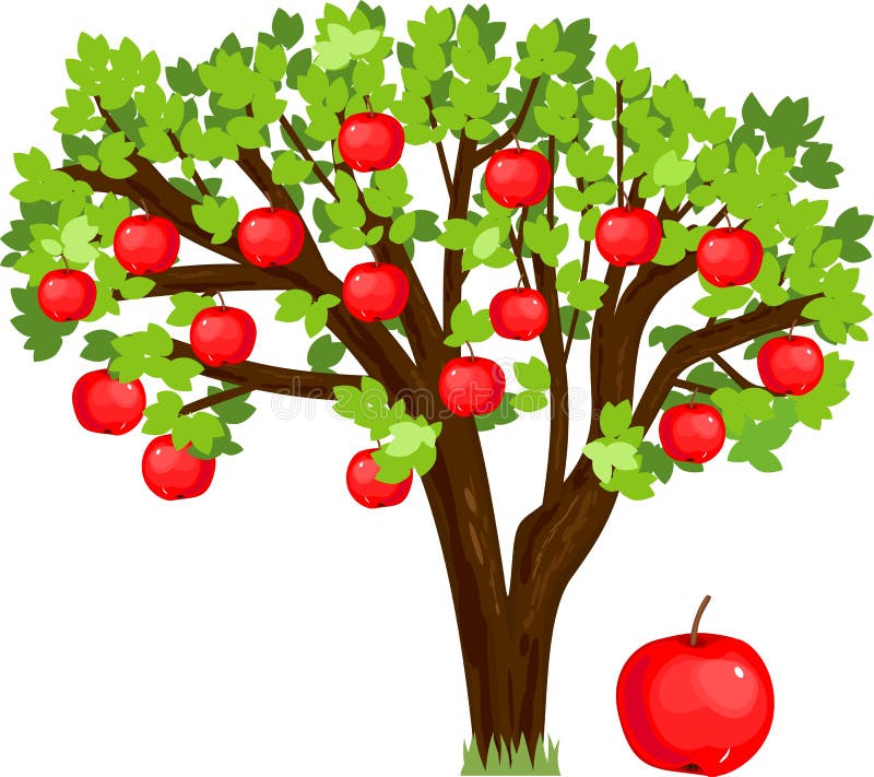 Apple tree with green leaves and ripe red fruits