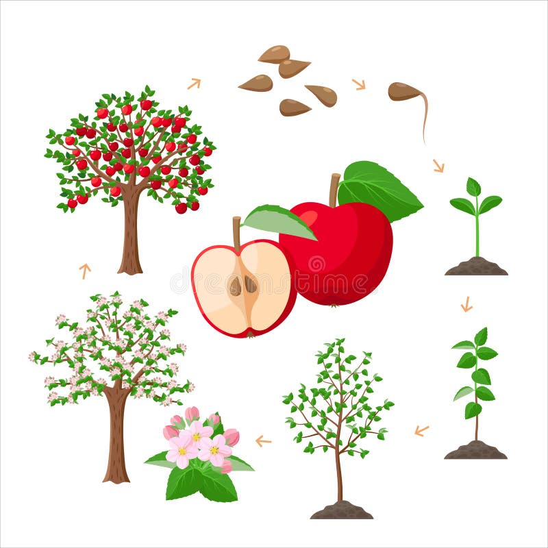 My Image 11