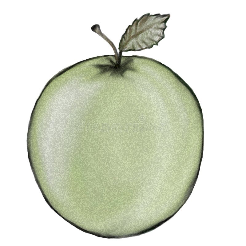 Apple verde ilustración del vector
