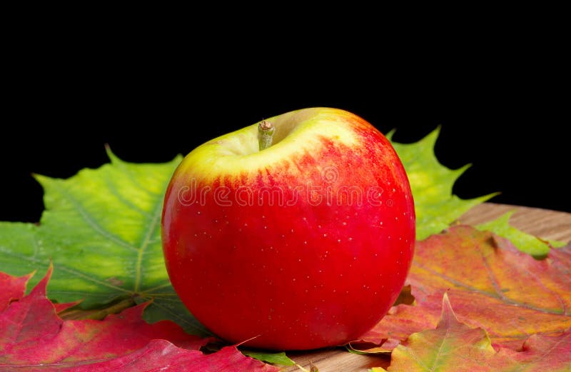 Apple vermelho grande imagem de stock