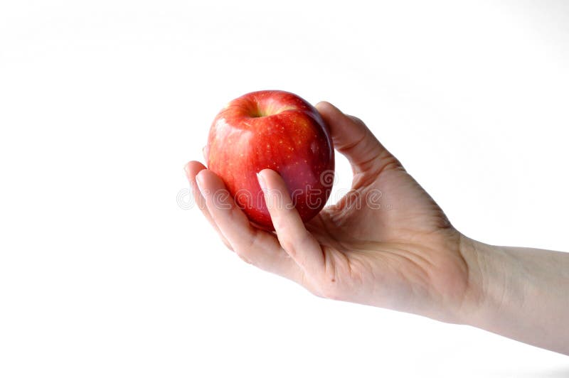 Apple vermelho à disposição isolado no fundo branco imagens de stock Apple vermelho à disposição isolado no fundo branco imagens de stock