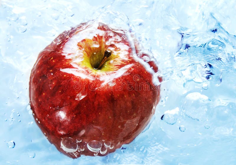 Fresh apple stock image. Image of apple, juicy, nutritious - 2602871