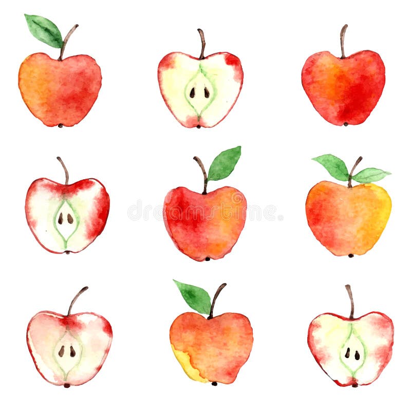 Apple Watercolor Simple Stock Illustrations 223 Apple Watercolor