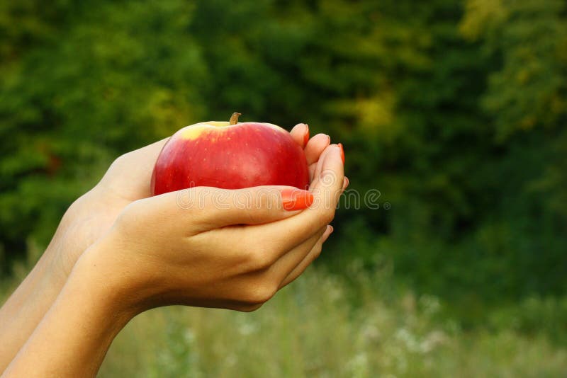 Apple in woman s hands