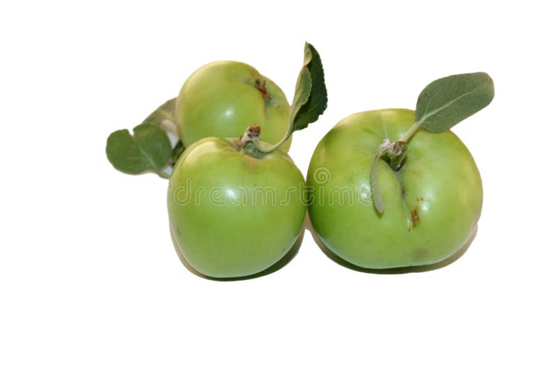 Apple - zieleń z liściem obraz royalty free Apple - zieleń z liściem obraz royalty free