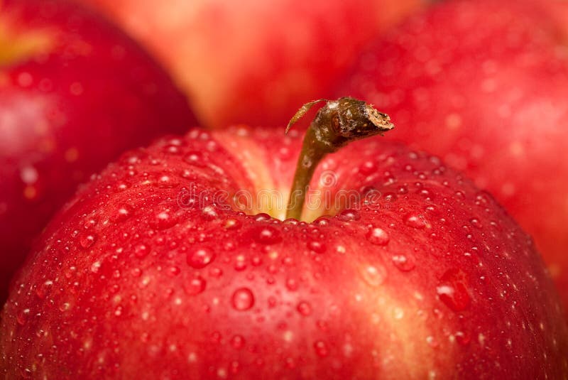 Apples royalty free stock images Apples royalty free stock images