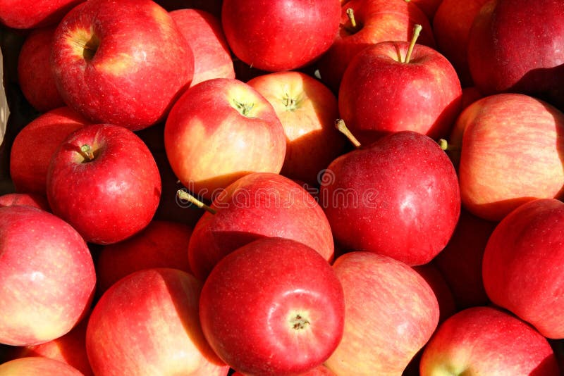 Apples stock photo Apples stock photo
